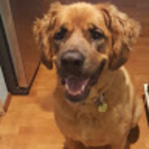 Meet your Posher, Anne